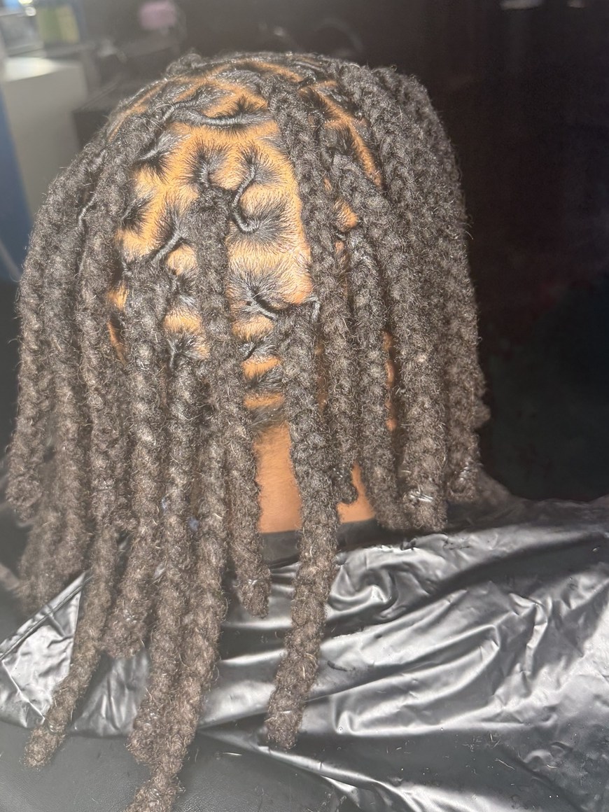 Shoulder-length locs immediately after a retwist, roots neat and the sections even